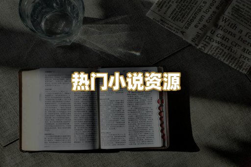 热门小说资源
